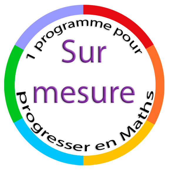 Logo_Presentation_programme_sur_mesure